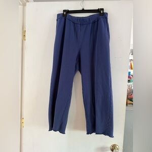 Max-comfortable Eileen Fisher sweat pants. Medium blue. Size Petite Large.